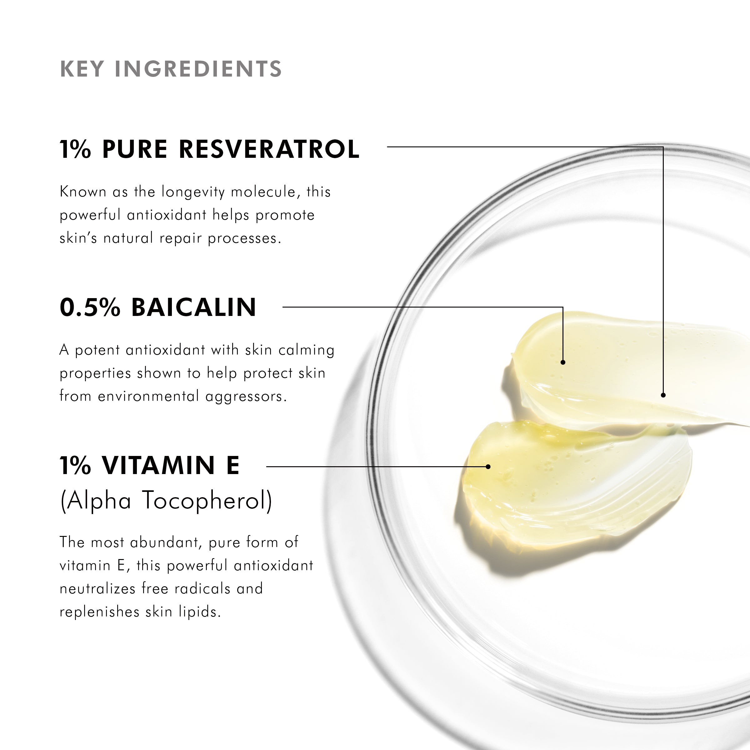 SkinCeuticals Resveratrol B E Antioxidant Night Serum