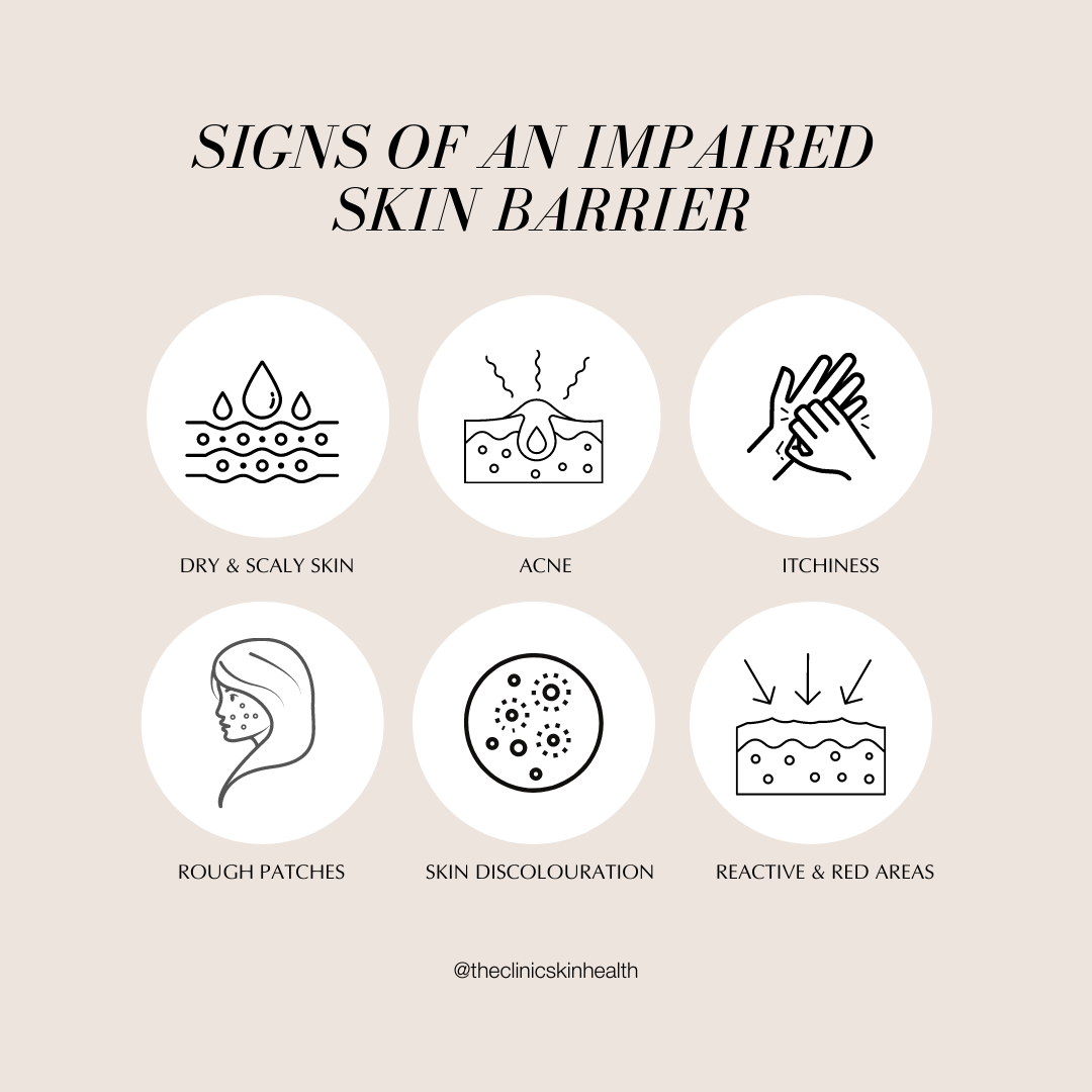 The Skin Barrier Explained